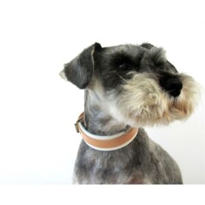 The Sussex Guild Leather Dog collar two toned Renata Koch