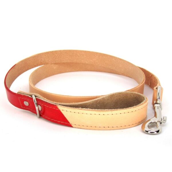 The Sussex Guild Leather dog leash Renata Koch 1
