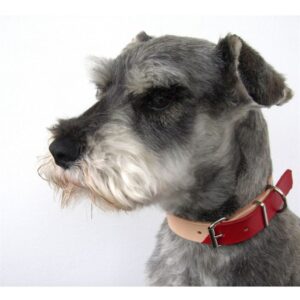 The Sussex Guild Slim dog collar Renata Koch