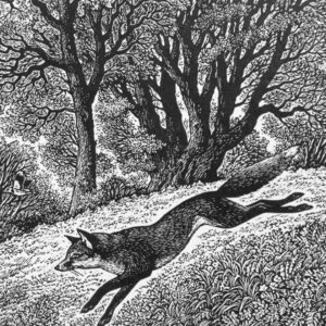 The Sussex Guild Dashing Fox Sue Scullard