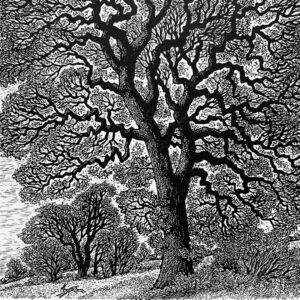 The Sussex Guild English Oak:Winter Tracery Sue Scullard