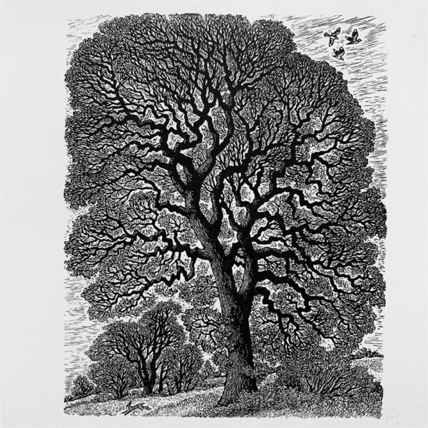 The Sussex Guild English Oak:Winter Tracery Sue Scullard 1