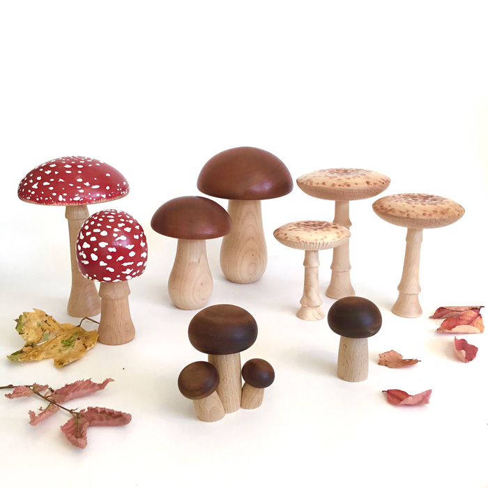 Wood-Anna-Cates-Mushrooms