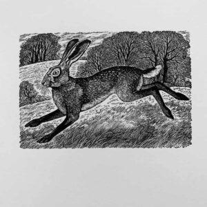The Sussex Guild March Hare  1