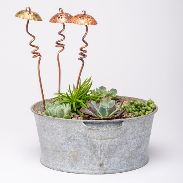 Mini Mushroom on Stem