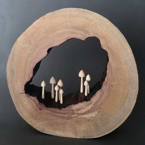 Furniture-and-Wood-Anna-Cates-Mushroom-Log-Pash25
