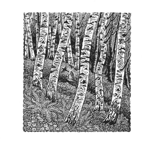 Printmaking_Sue_Scullard_wood_engraving-Pash25