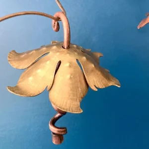 Small Brass Jellyflower