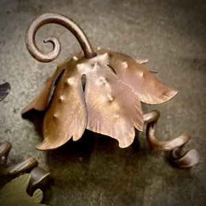 Small Copper Jellyflower