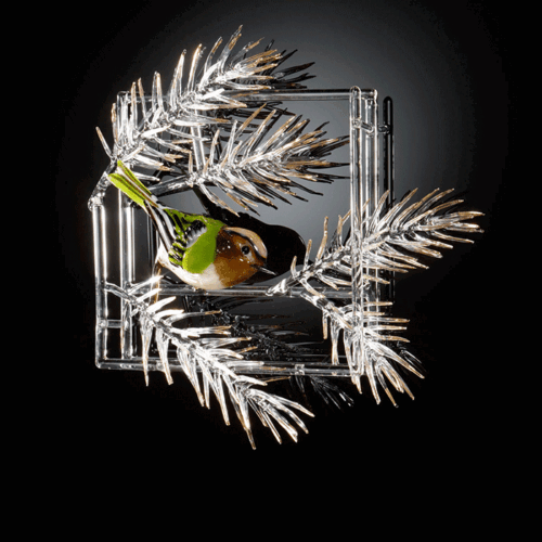 Glass-Elizabeth-Welch-Goldcrest-in-Pine
