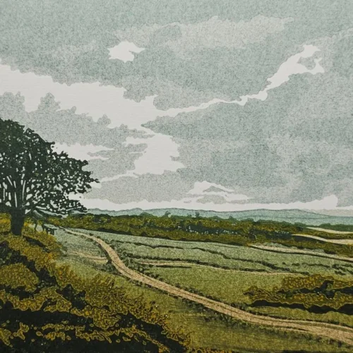 Linocut by Judith Westrup showing a scene of fields with a tree in the foreground.